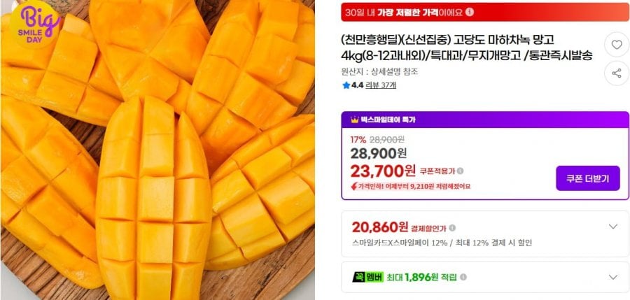 고당도 마하차녹 망고 4kg(8-12과내외)