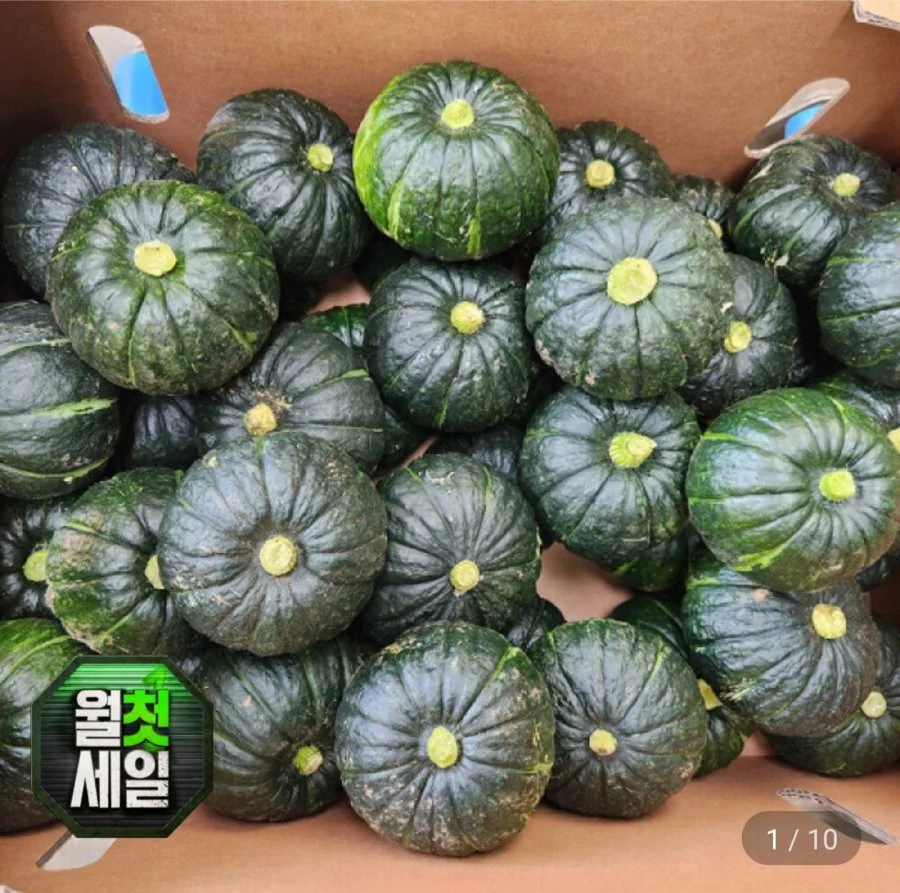 제주 미니 밤호박 못난이 10kg
