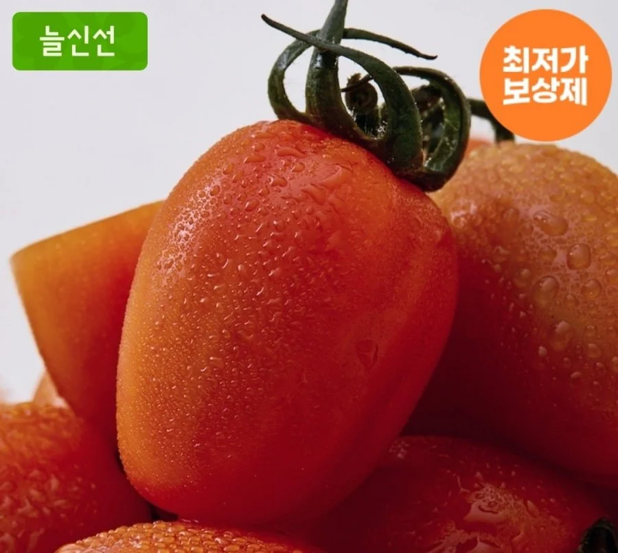 토망고 2kg