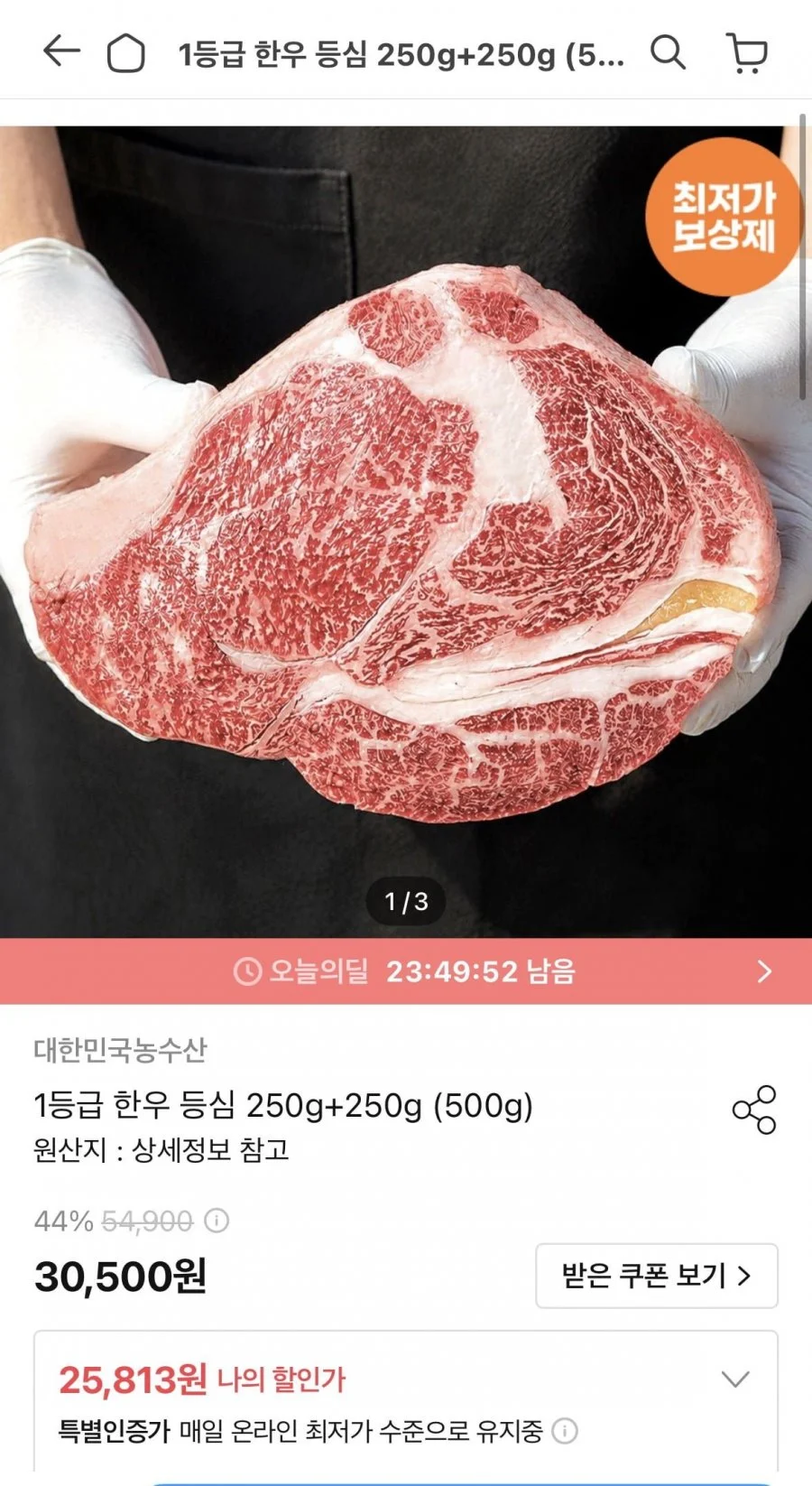 1등급 한우 등심 250g+250g