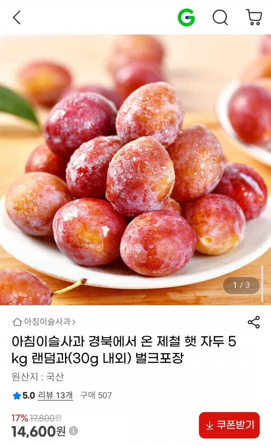제철 햇자두 5kg