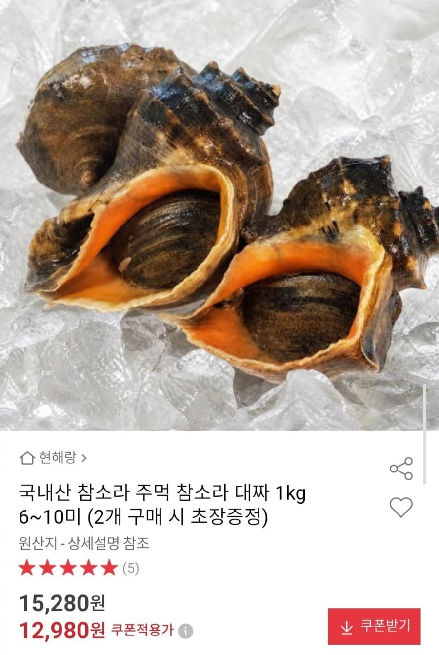 국내산 참소라 주먹 참소라 대짜 1kg 6~10미
