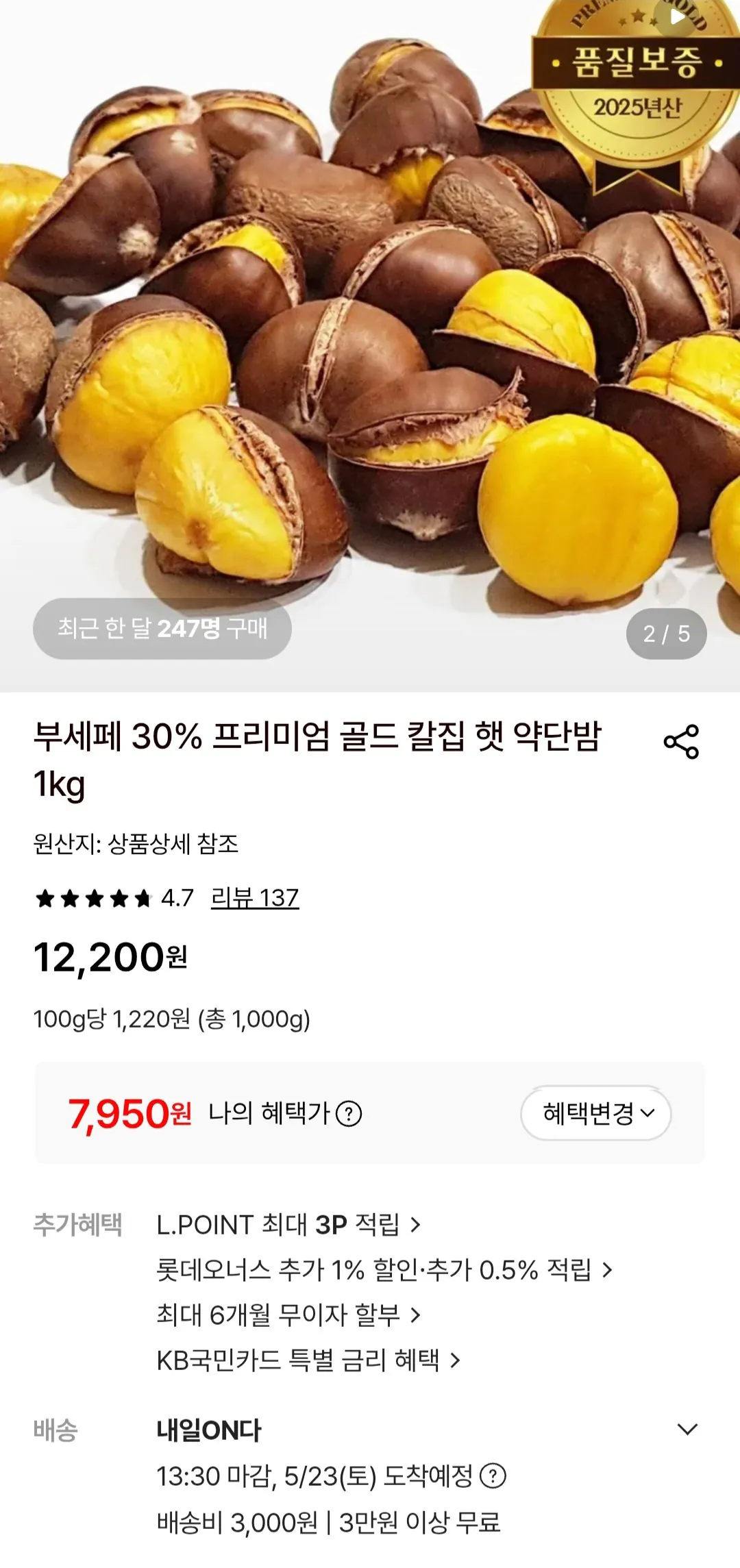 칼집 햇 약단밤 1kg