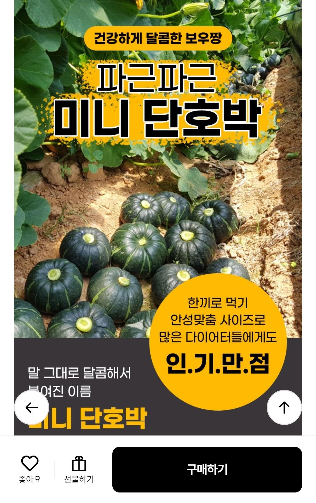 26년 제주 미니단호박 보우짱 3kg 브러쉬세척