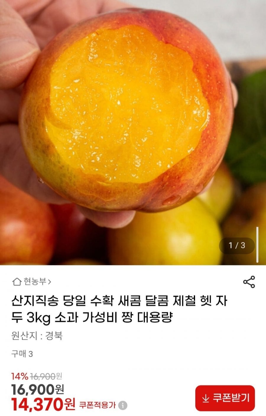 산지직송 당일수확 제철 햇 자두 3kg 소과