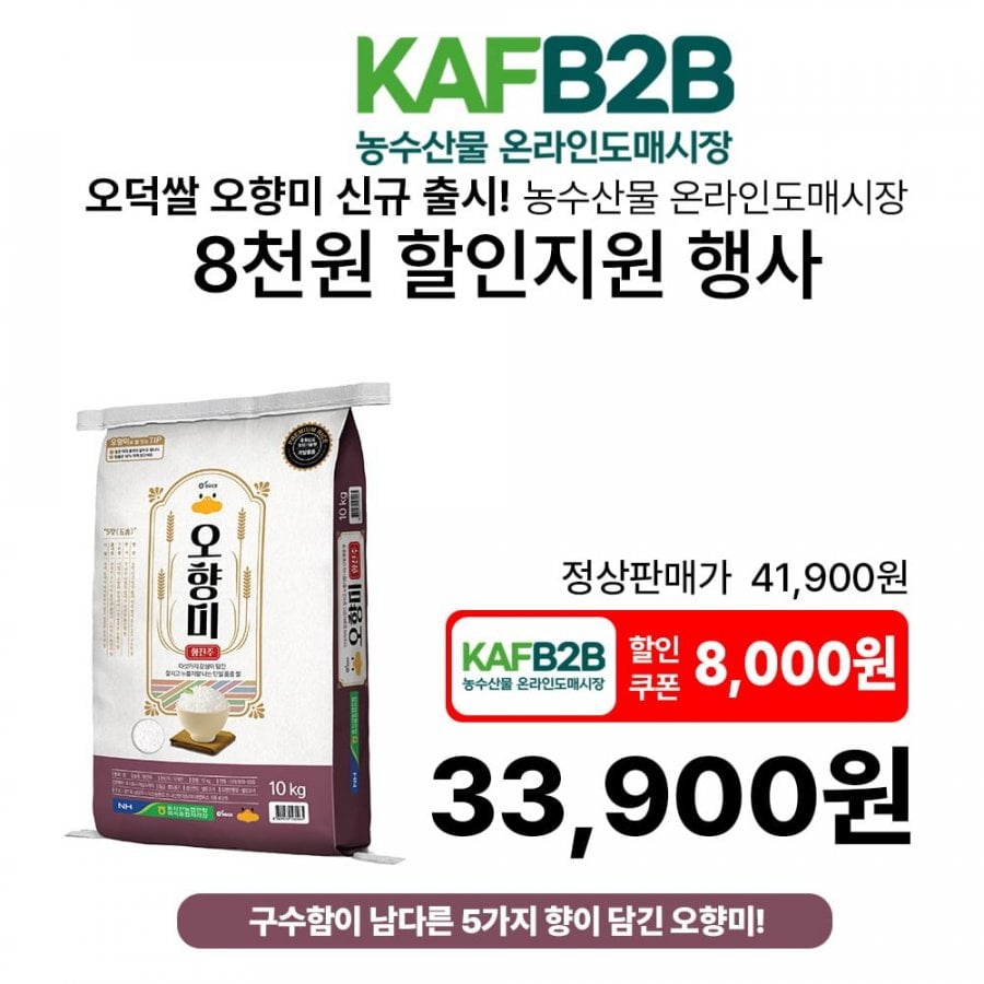 오향미 10kg 품종 향진주 농협생산
