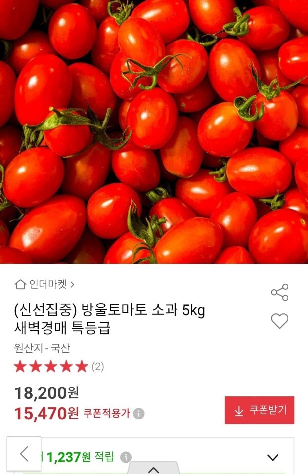 방울토마토 소과 5kg 특등급