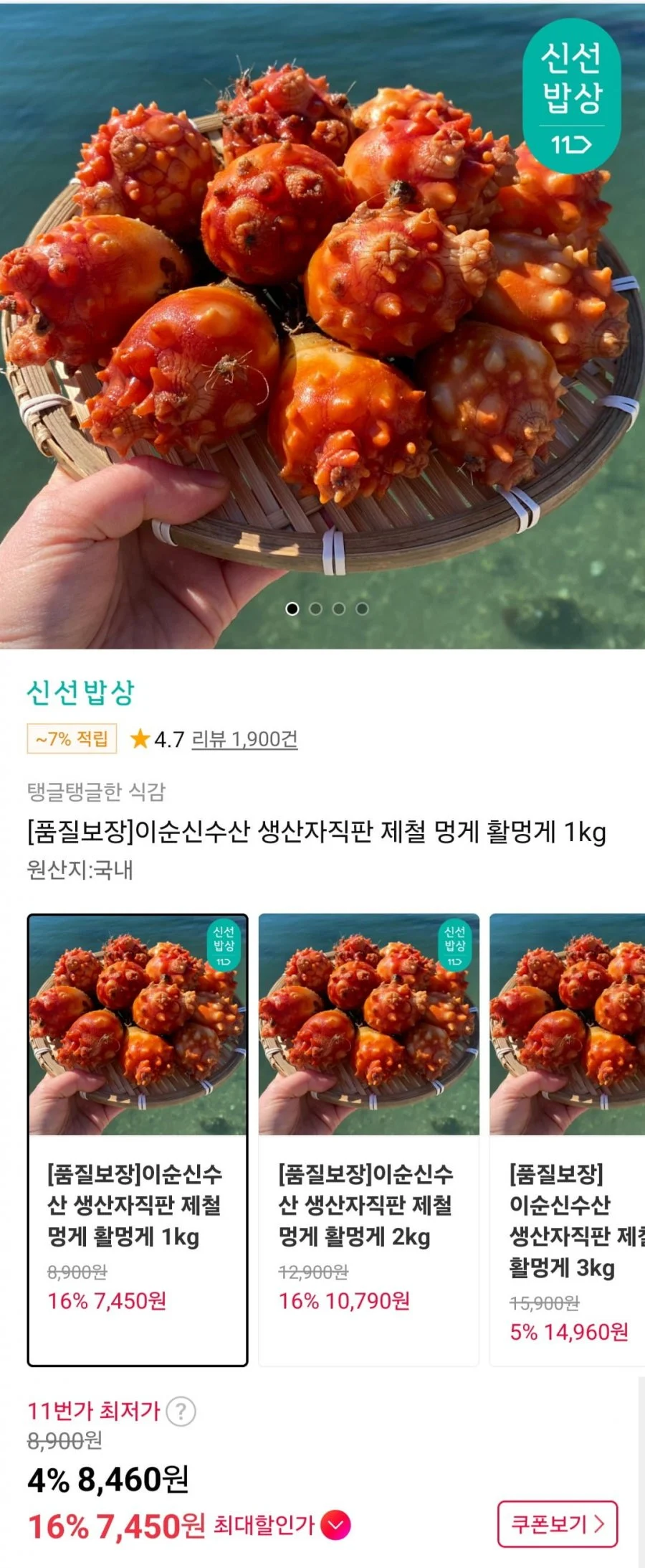 이순신수산 생산자직판 제철 멍게 활멍게 1kg