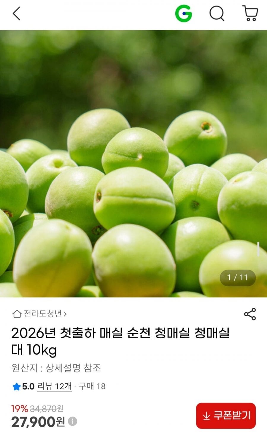2026년 첫출하 매실 순천 청매실 대 10kg