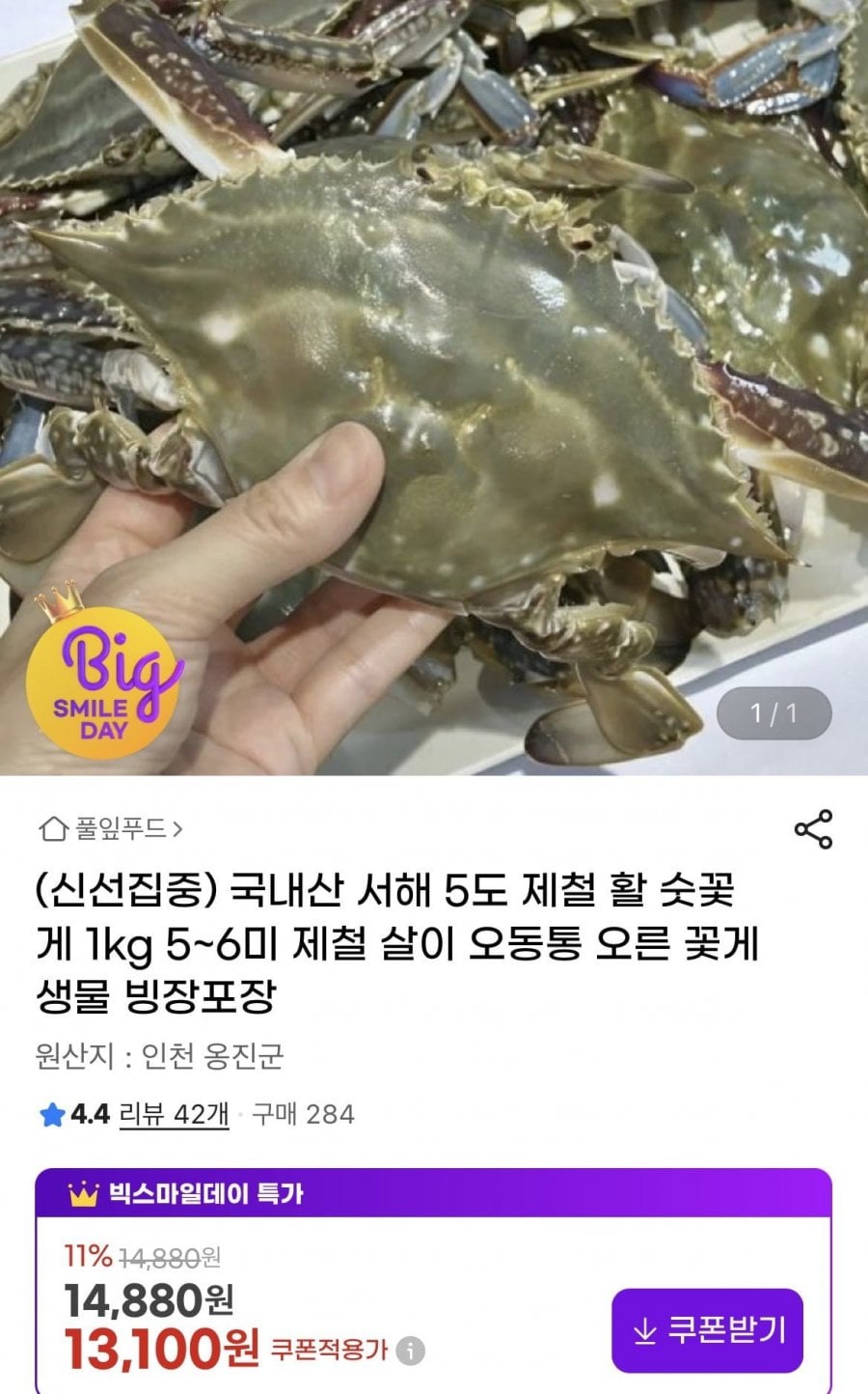 국내산 제철 활 숫꽃게 1kg 5~6미