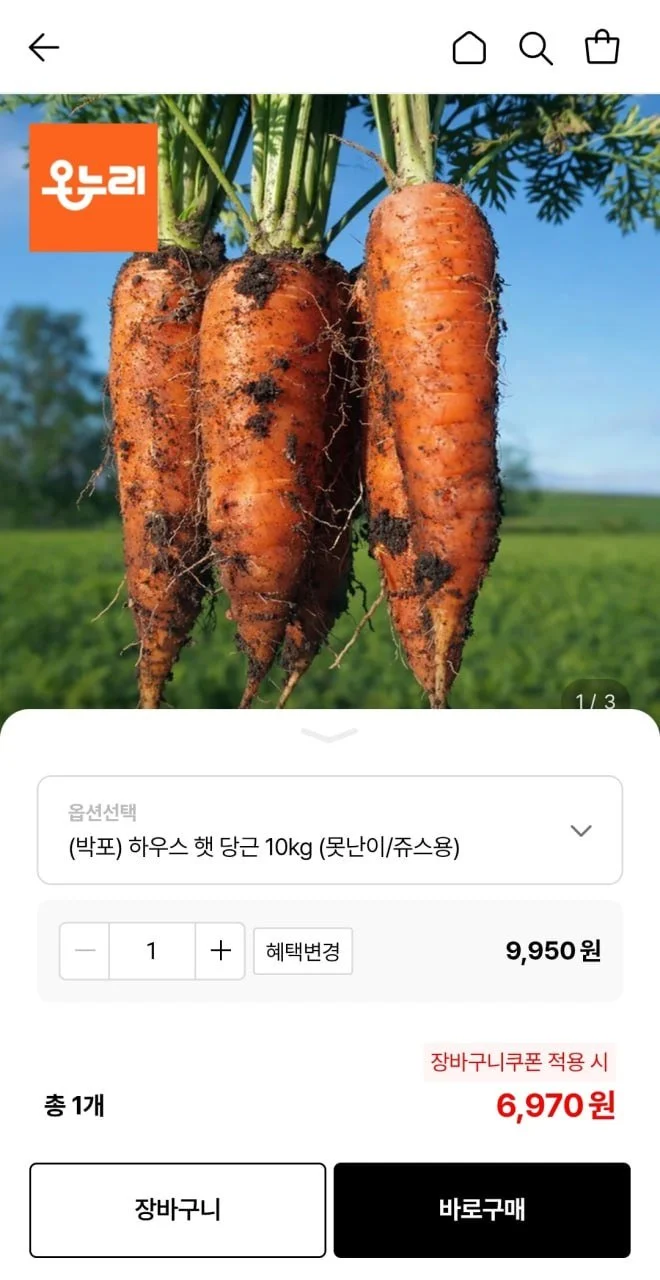 국내산 햇당근 쥬스용 10kg