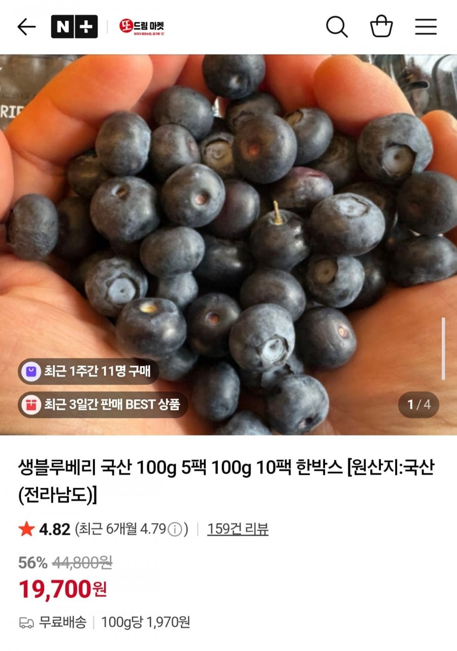 생블루베리 국산 100g 5팩