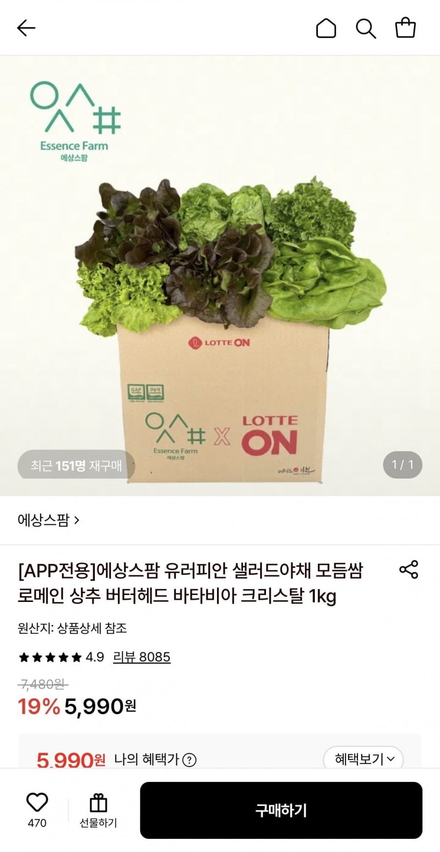 유러피안 샐러드 1kg