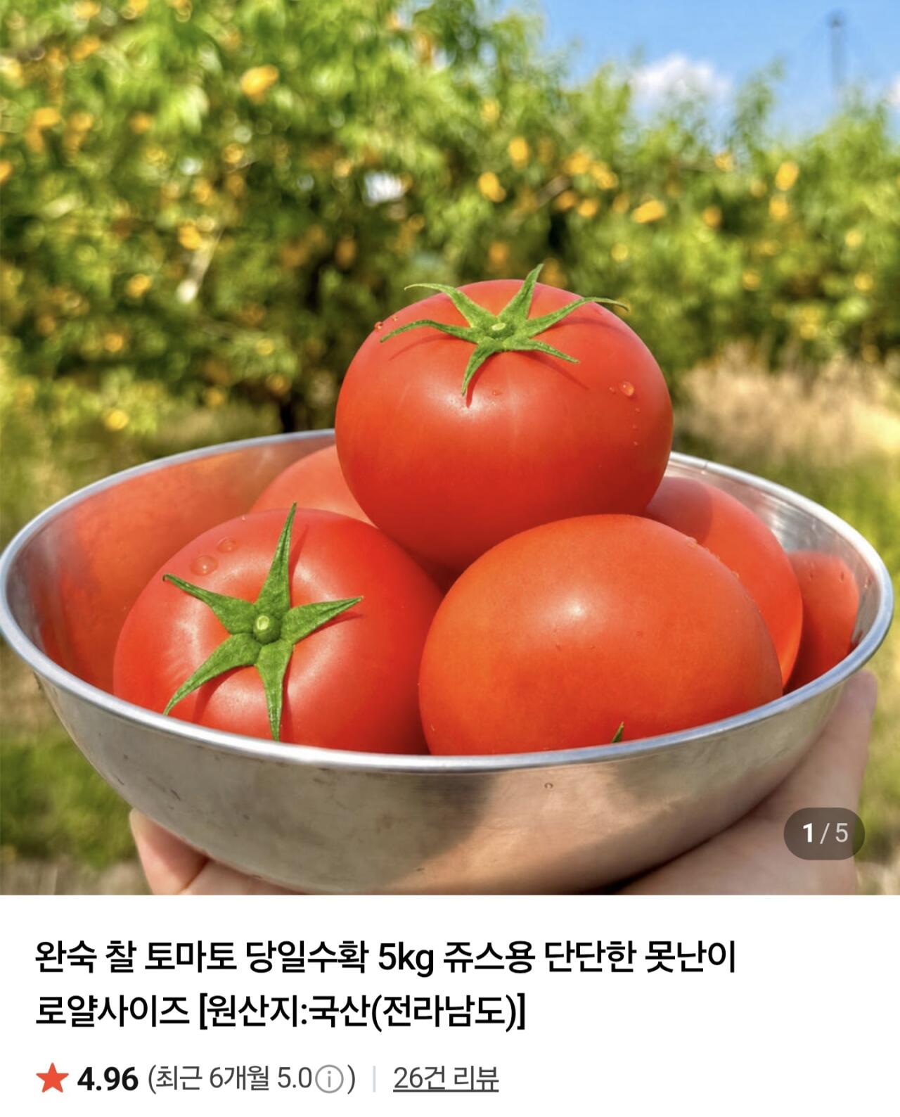 완숙 찰토마토 못난이 로얄사이즈 5kg 주스용