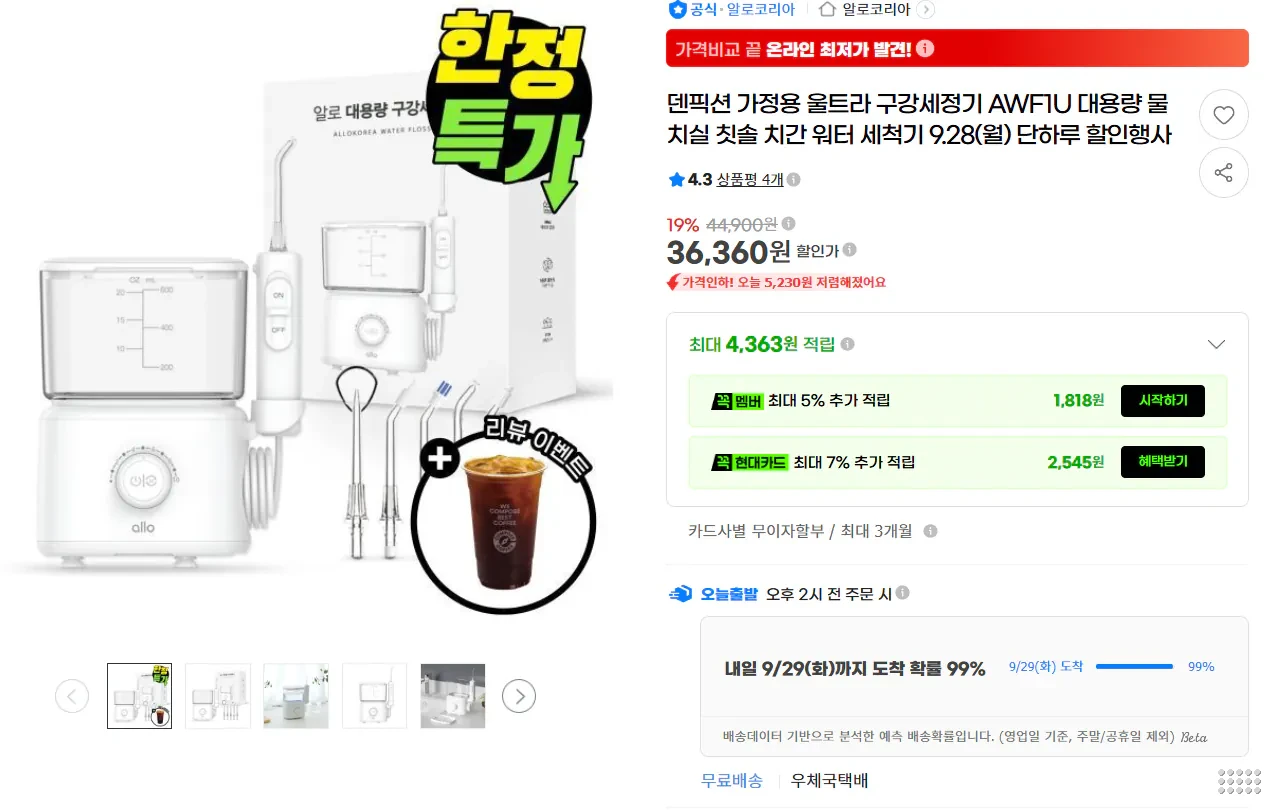 덴픽션 가정용 울트라 구강세정기 AWF1U 대용량 물치실 칫솔 치간 워터 세척기