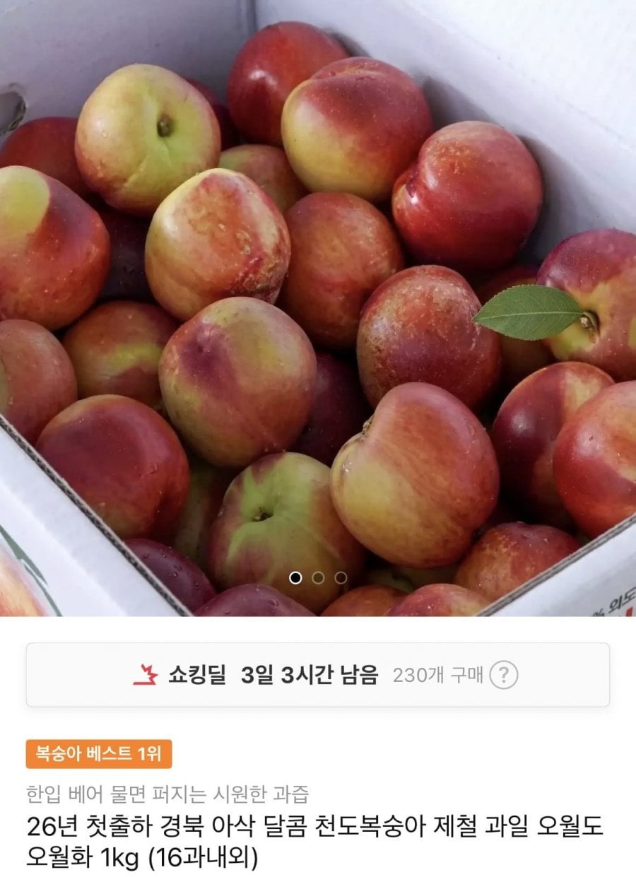 천도복숭아 오월도 오월화 1kg (16과내외)