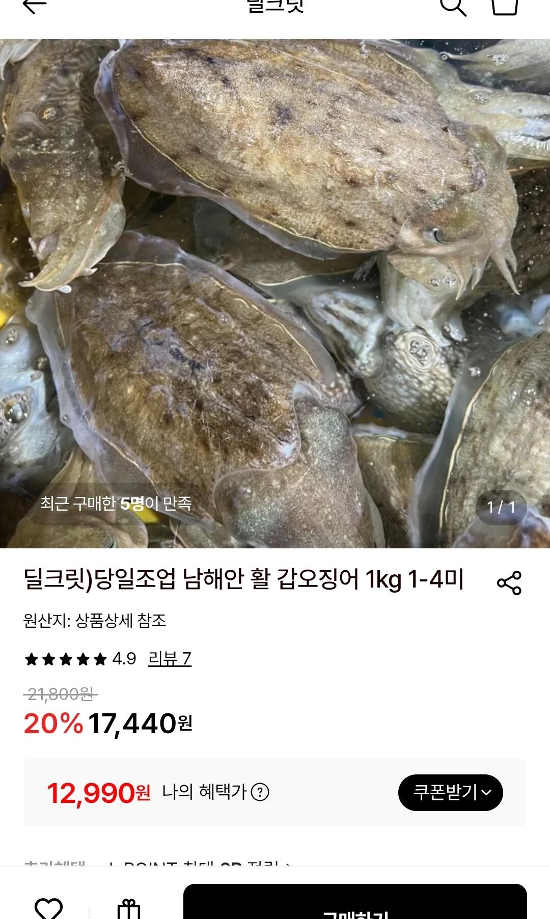 남해안 활 갑오징어 1kg 1-4미
