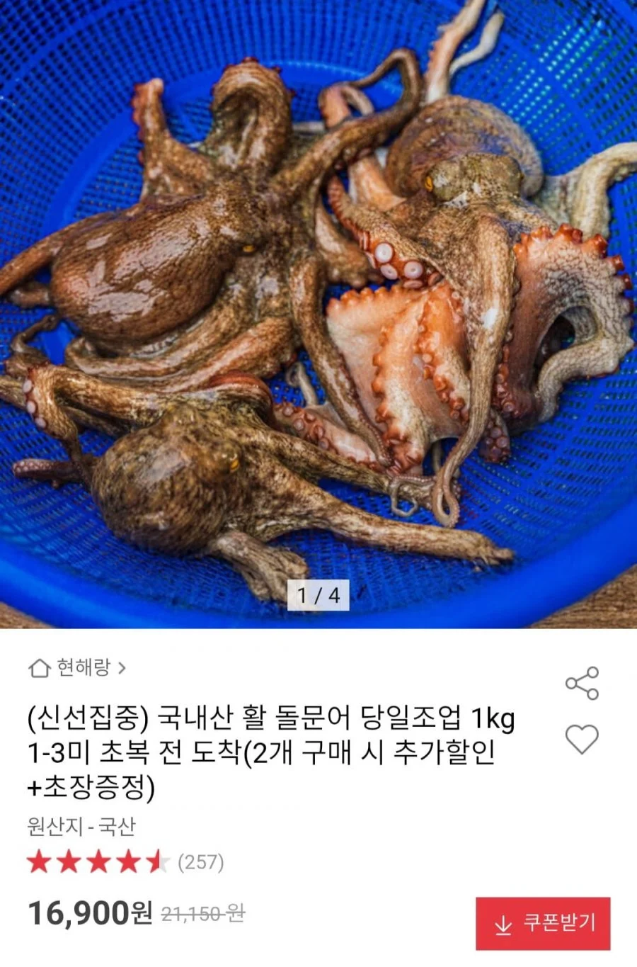 국내산 활 돌문어 당일조업 1kg 1-3미