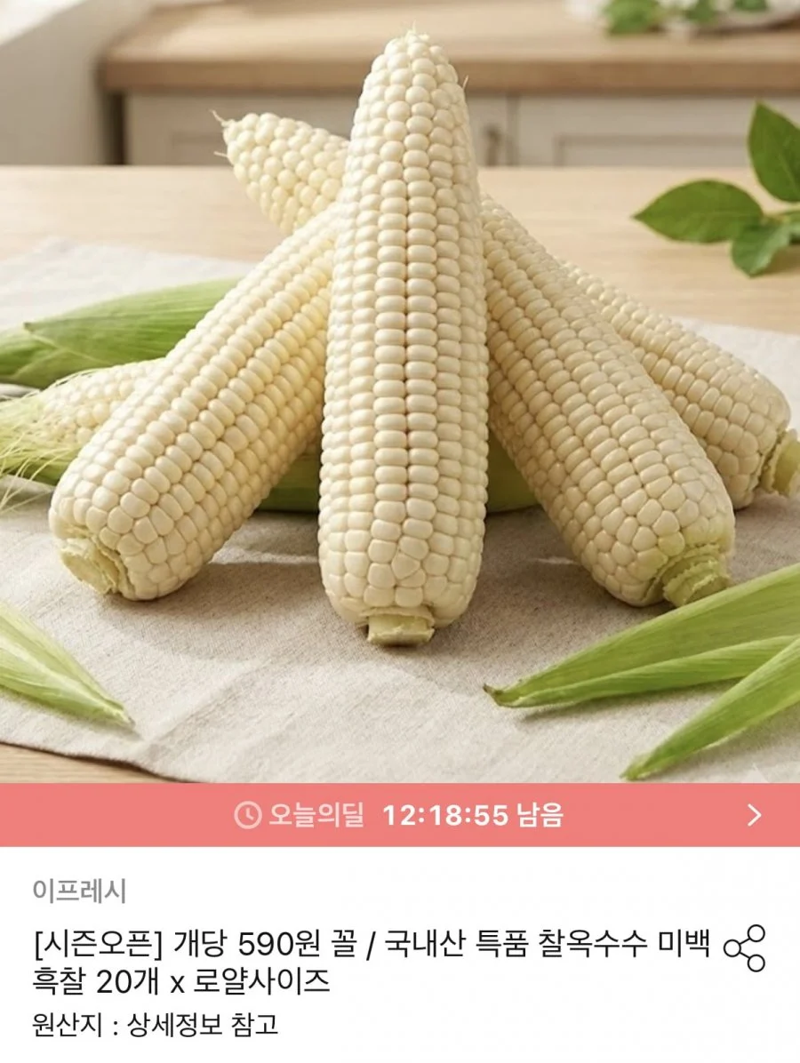 미백/흑찰 찰옥수수 20개