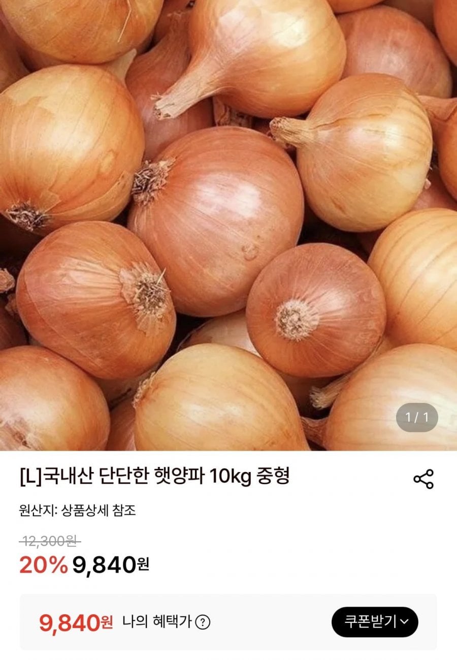 양파,시래기,샐러드,방울토마토,바지락,함박,다진마늘,당면,무파마,육개장,와치아테,낙곱새,고래사,사미헌,삼육,리챔,진라면,짜파게티,튀김우동 등