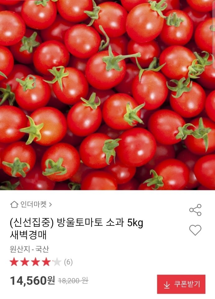 방울토마토 소과 5kg