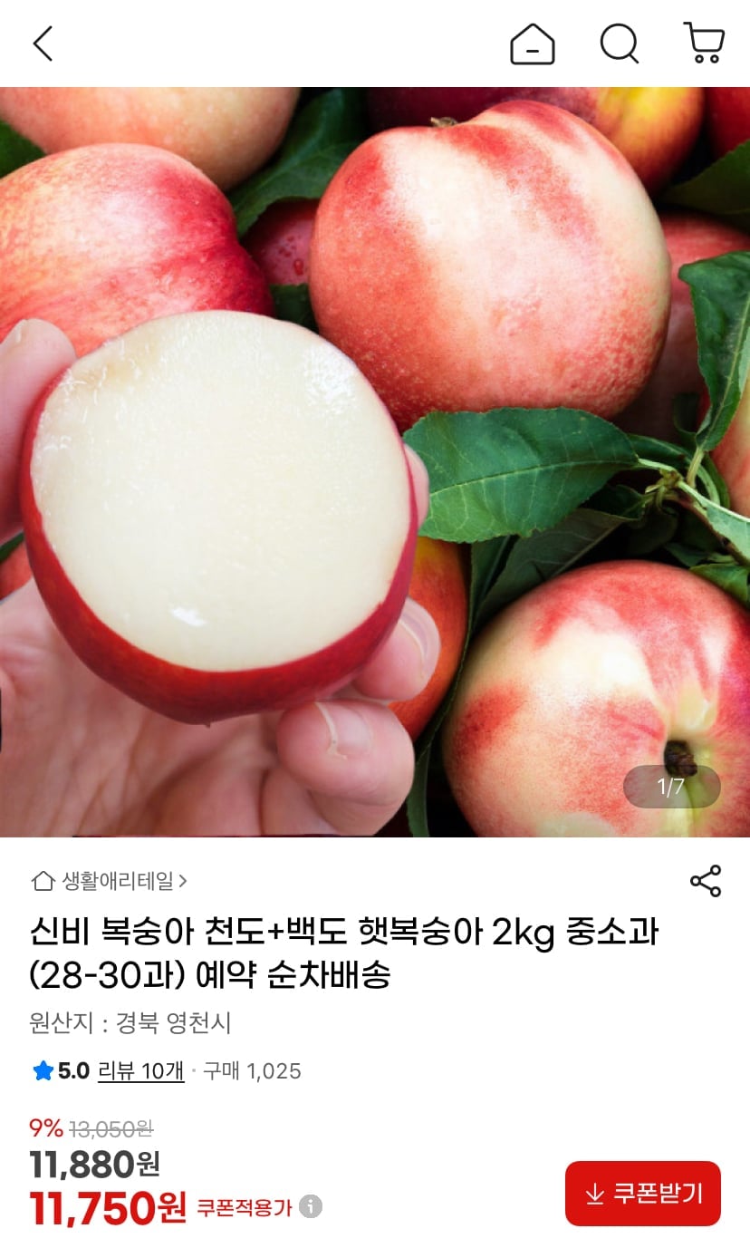 신비 복숭아 천도+백도 햇복숭아 2kg 중소과(28-30과)