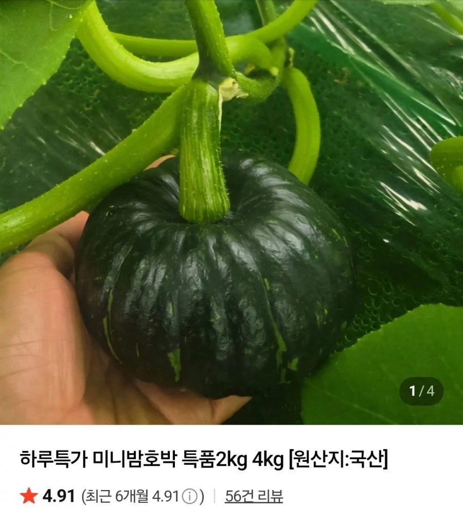 미니밤호박 4kg 특품