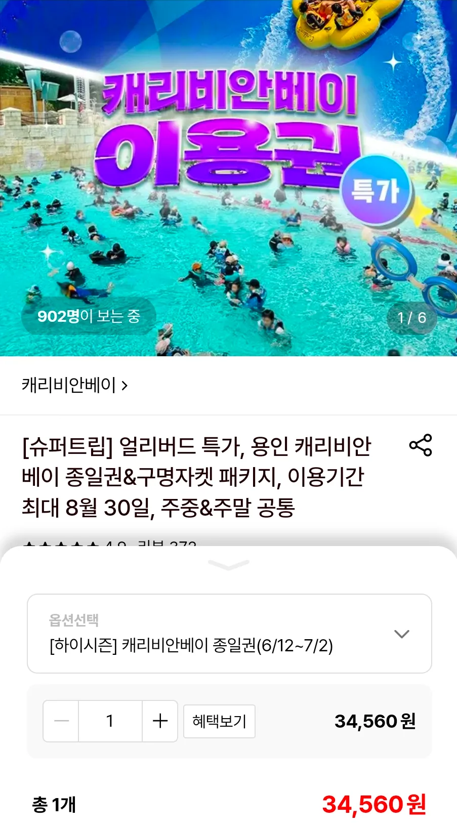 용인 캐리비안베이 종일권