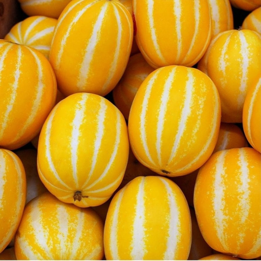 성주 꿀참외 중과/로얄과 4kg