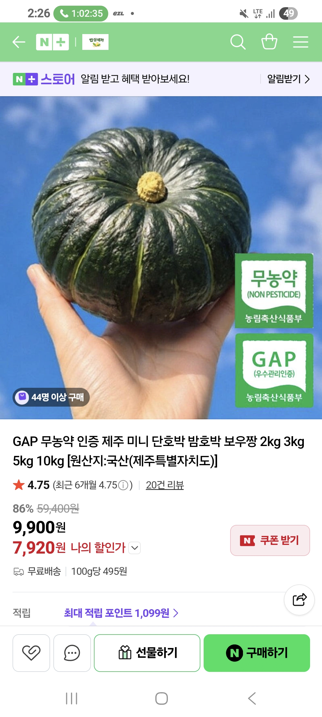 제주 미니밤호박 로얄과 2kg
