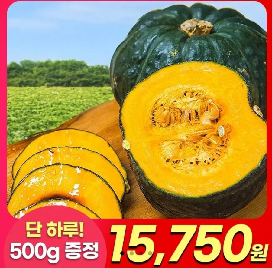 제주 햇 미니단호박 보우짱 2kg+2kg+500g 총 4.5kg