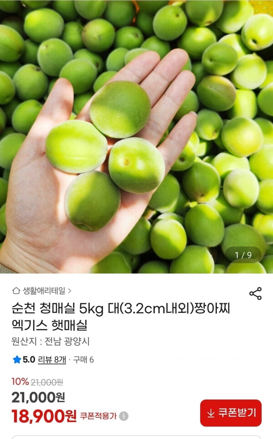 순천 청매실 대과 5kg