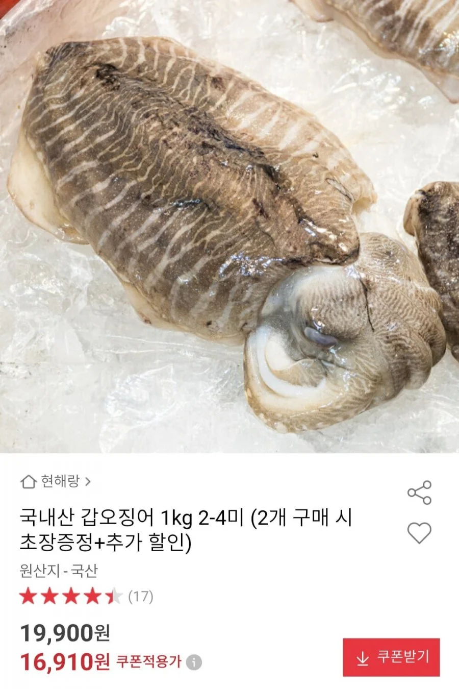 국내산 갑오징어 1kg 2-4미