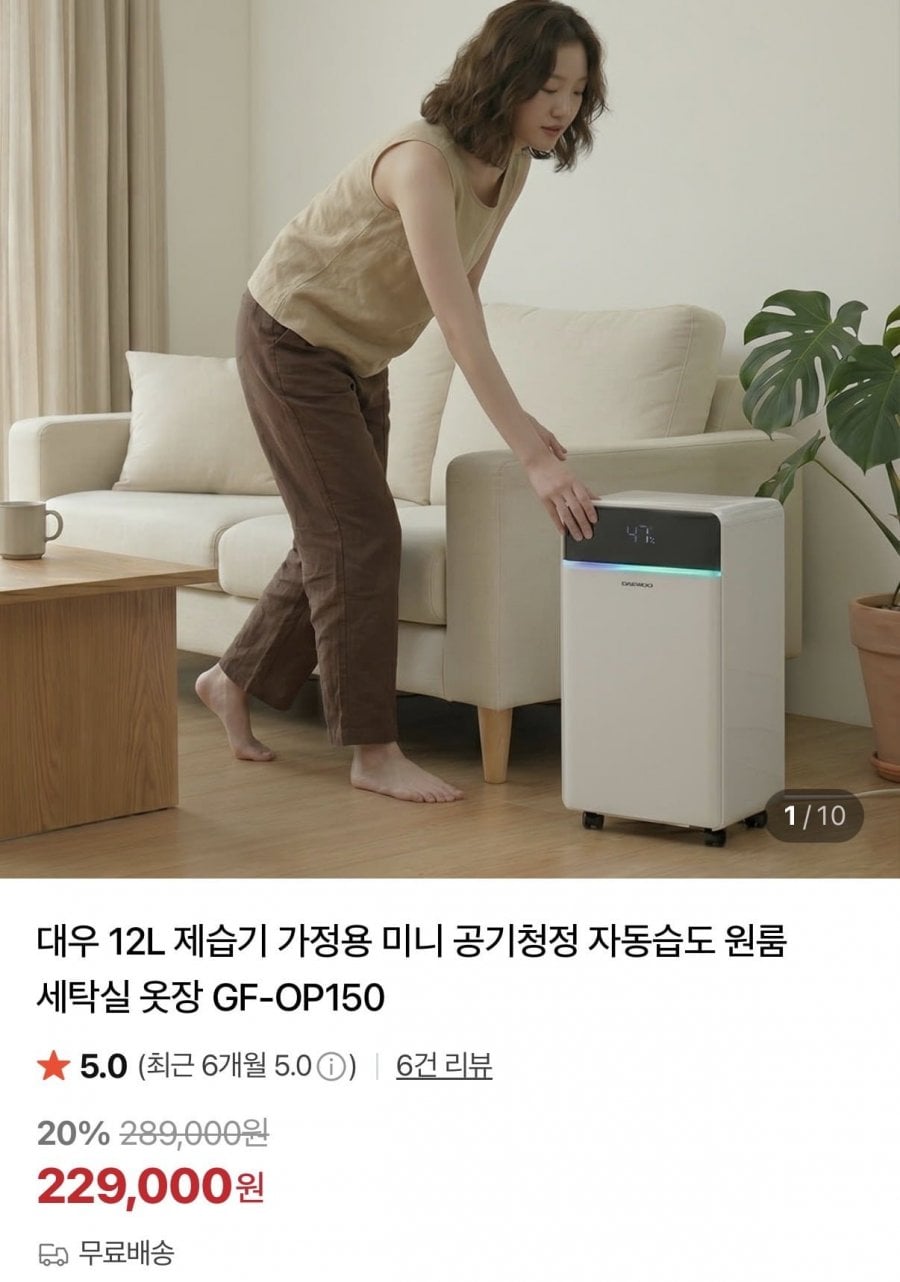 12L 미니 공기청정 제습기