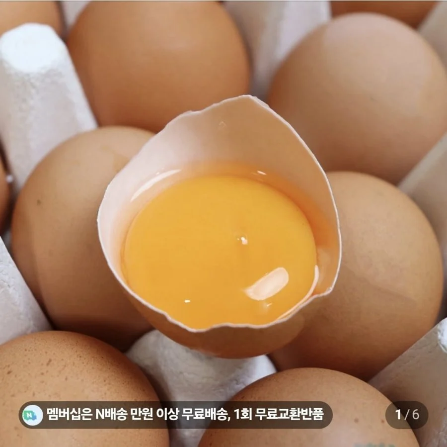 난각1번 유정란 20구