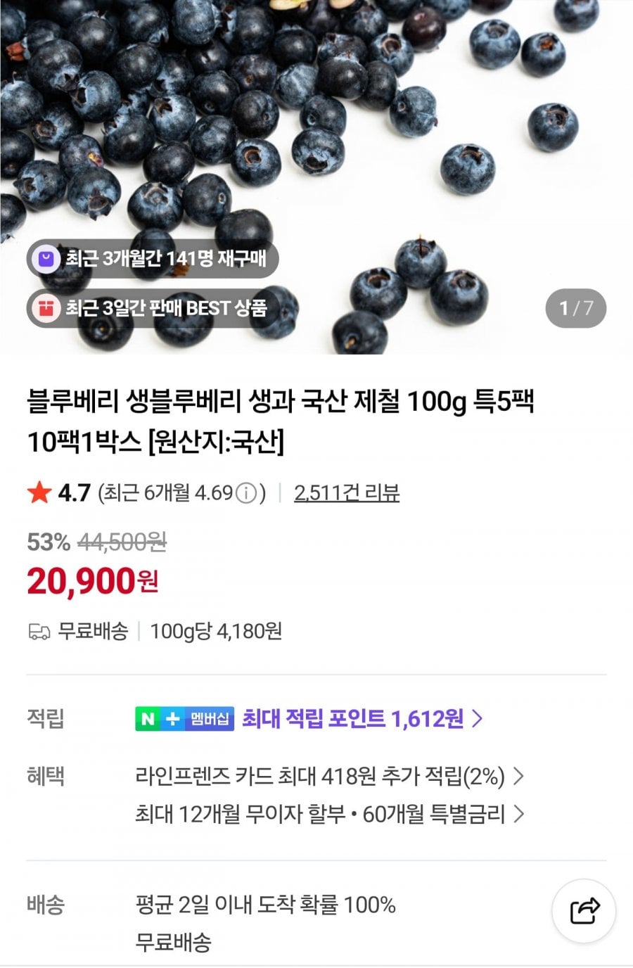 국산 생블루베리 특 100g 5팩