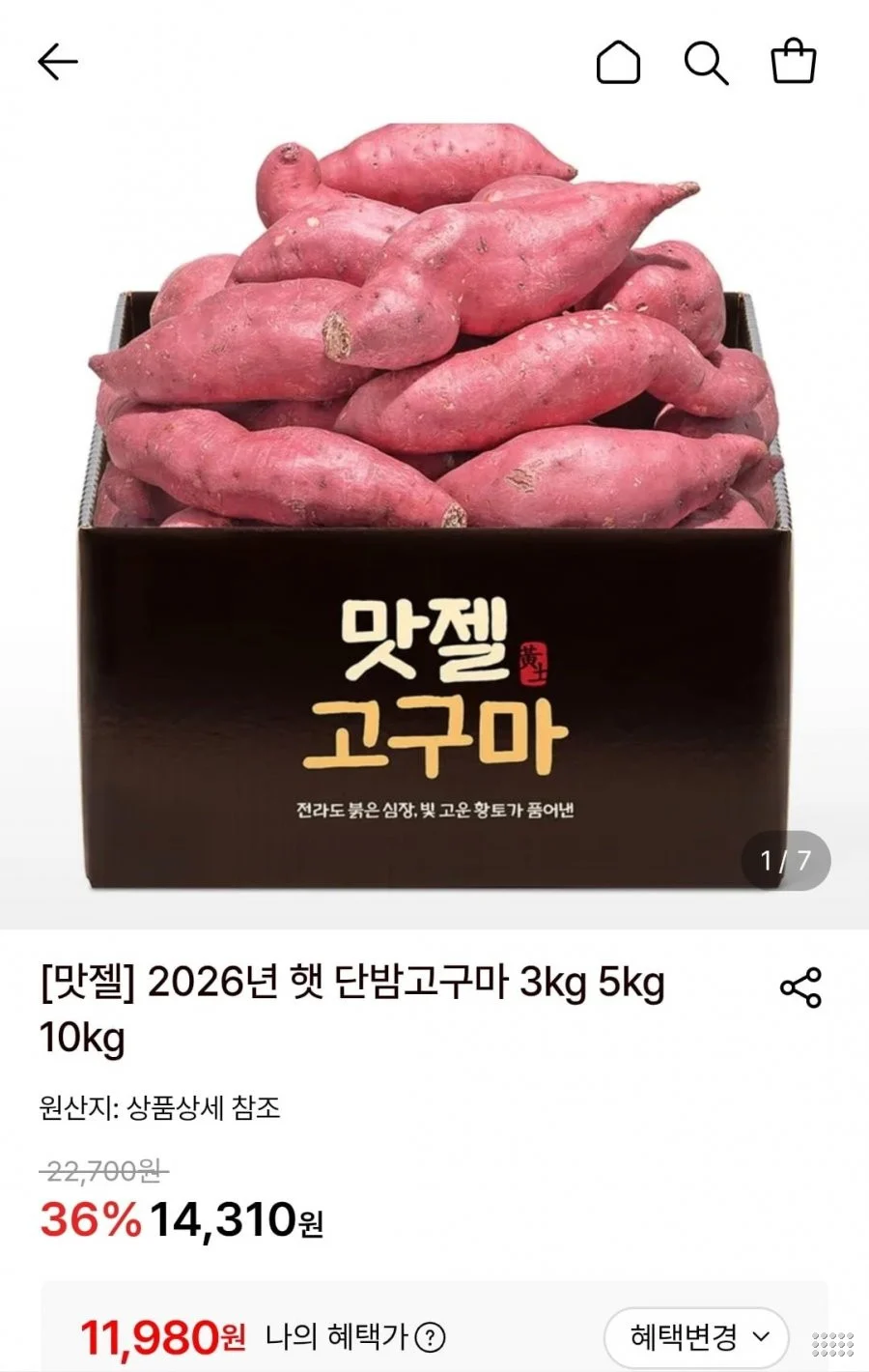 2026년 햇단밤고구마 5kg 실속형 특상