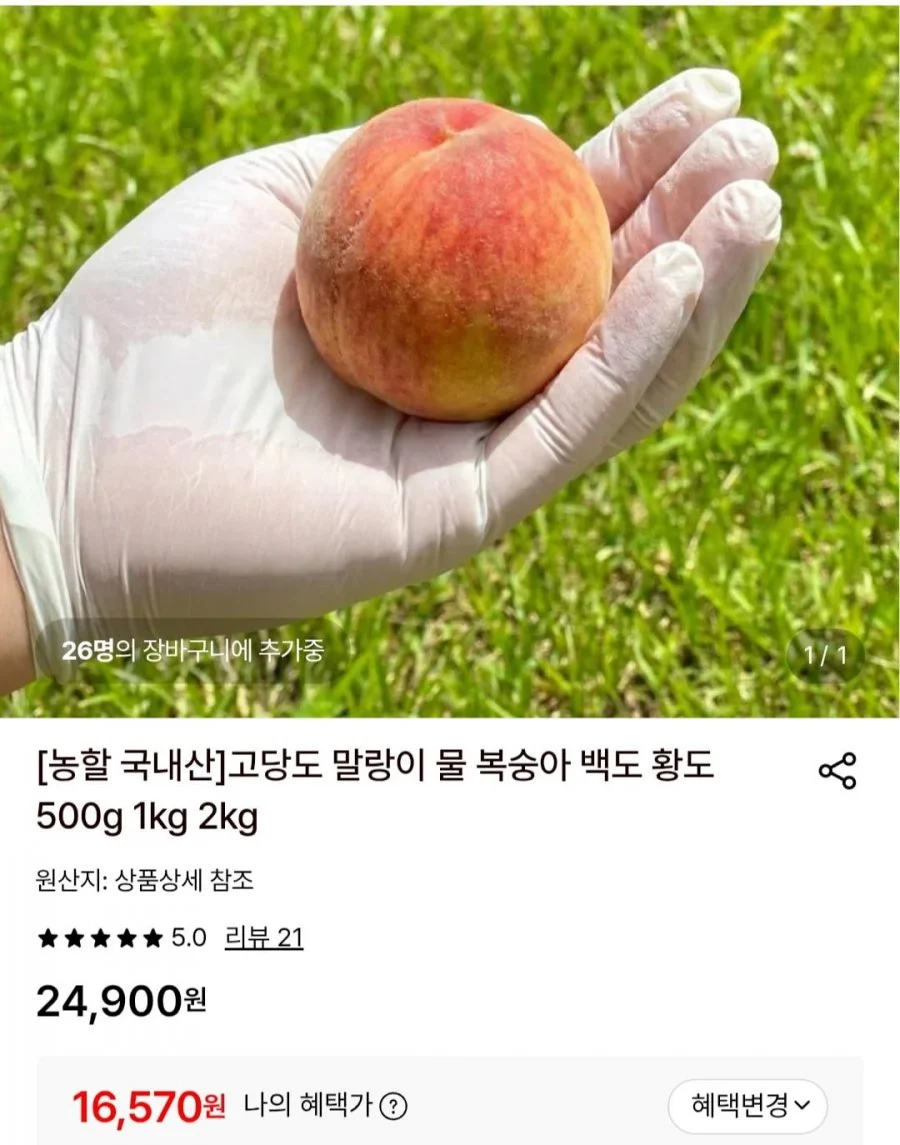 국내 고당도 말랑이 복숭아 2KG