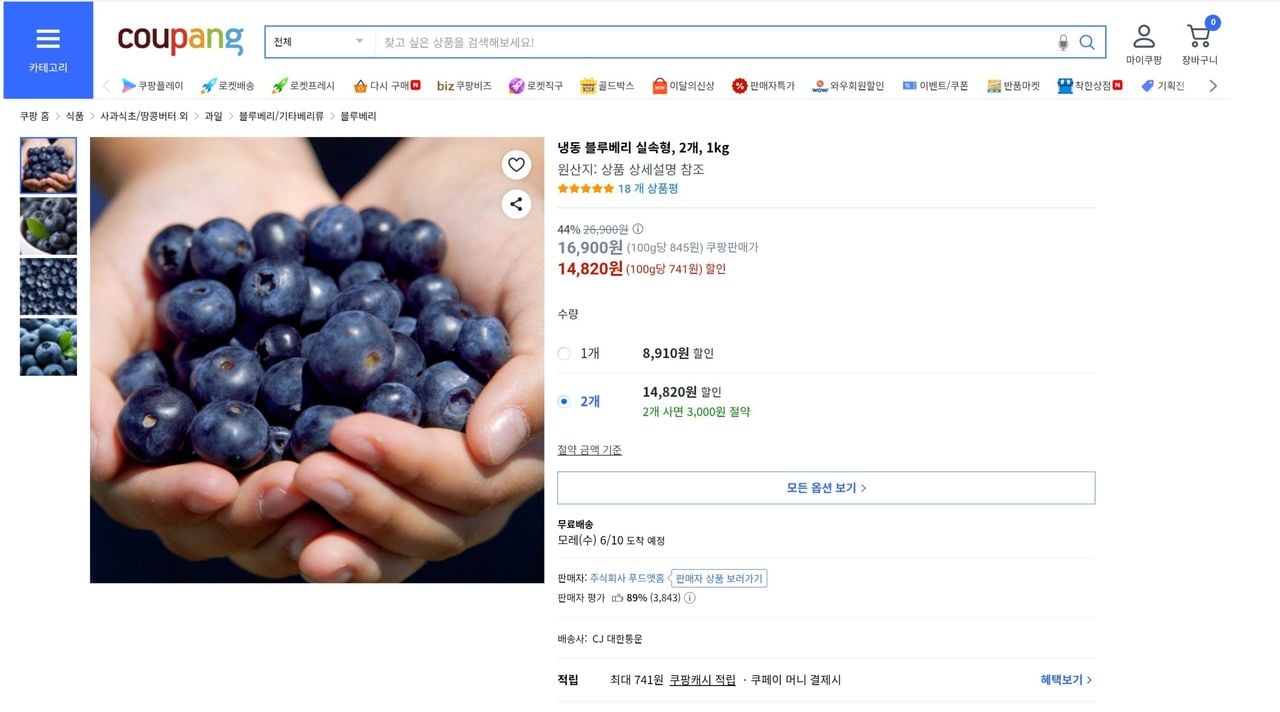 냉동 블루베리 실속형, 1kg 2개