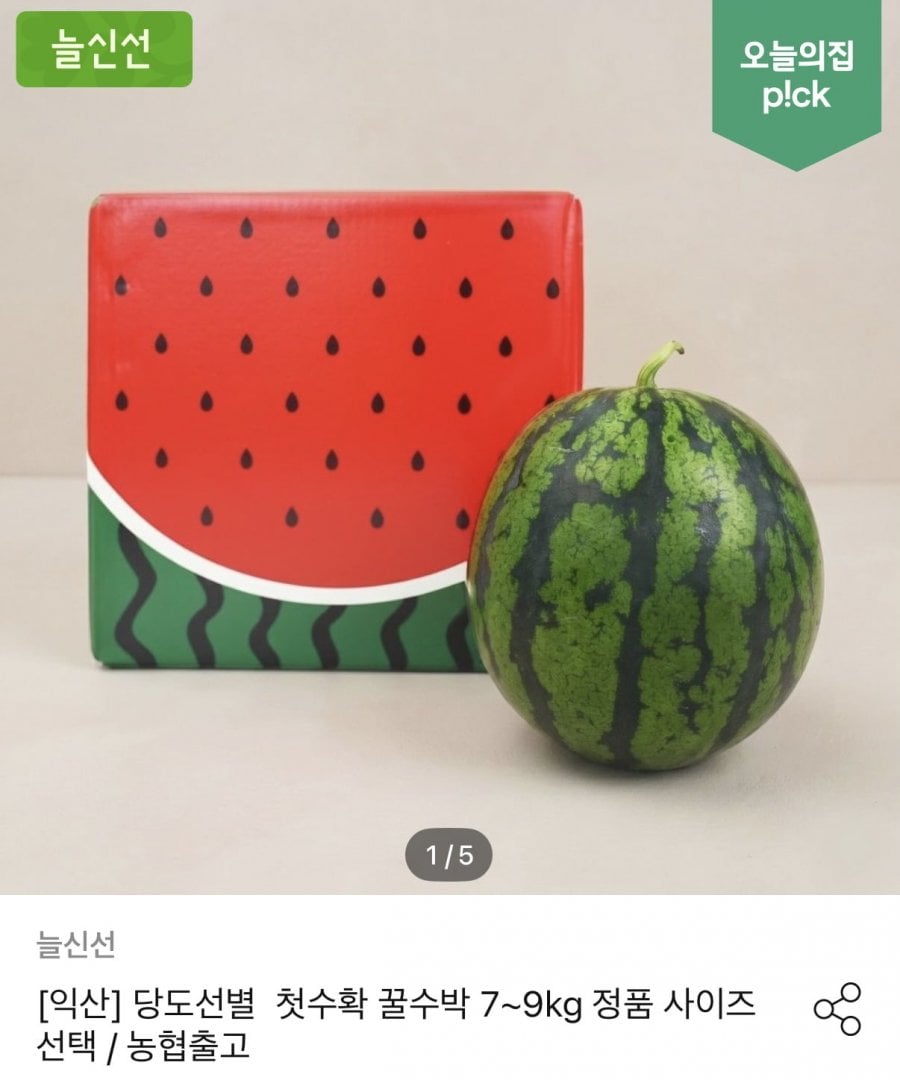 늘신선 농협 특품 고당도 수박 6kg