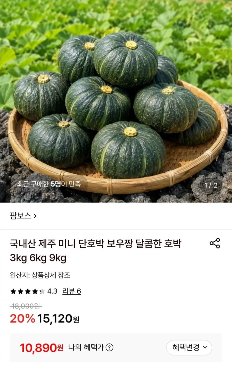 국내산 제주 미니 단호박 로얄과 6kg