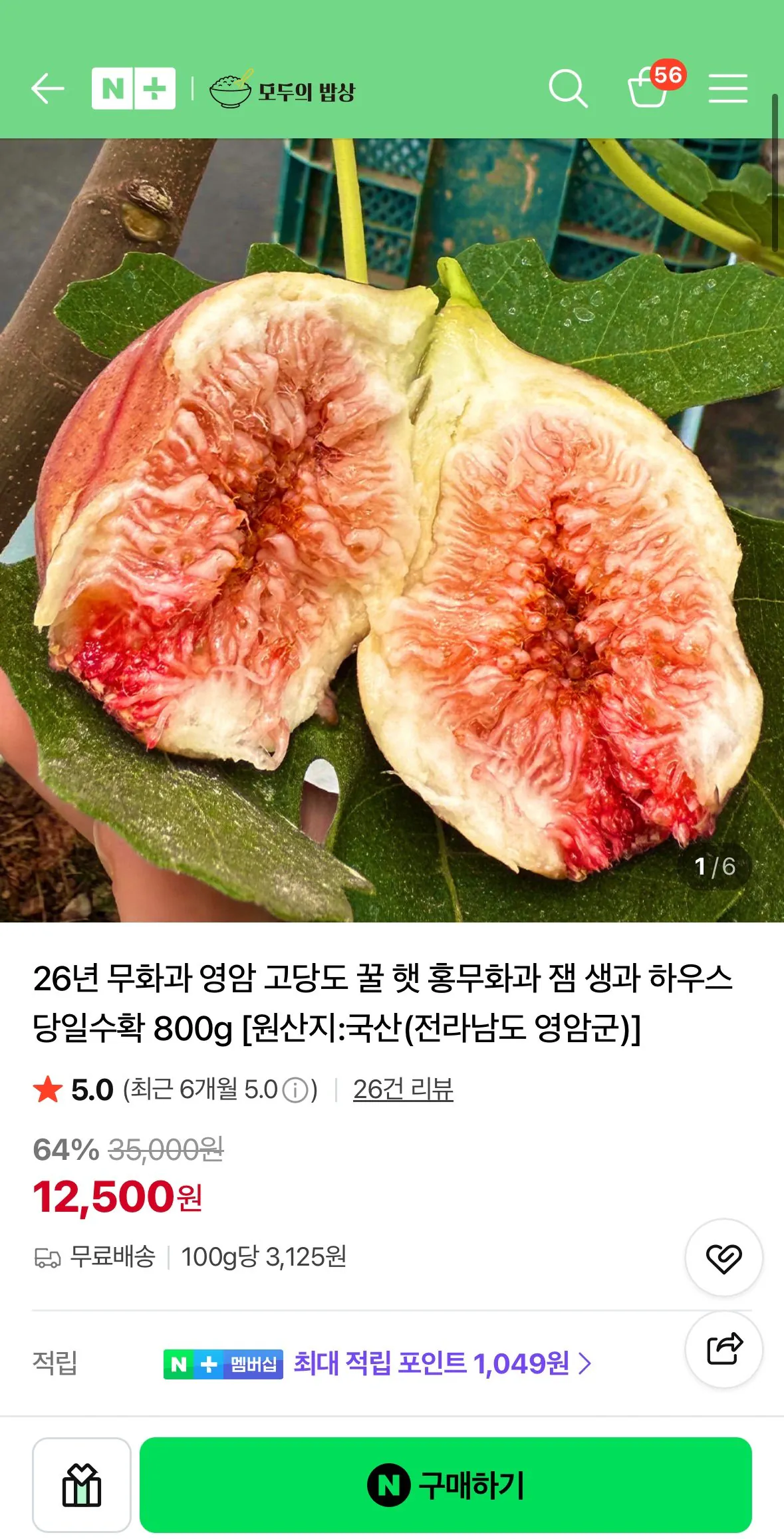 26년 무화과 영암 고당도 꿀 햇 홍무화과 잼 생과 하우스 당일수확