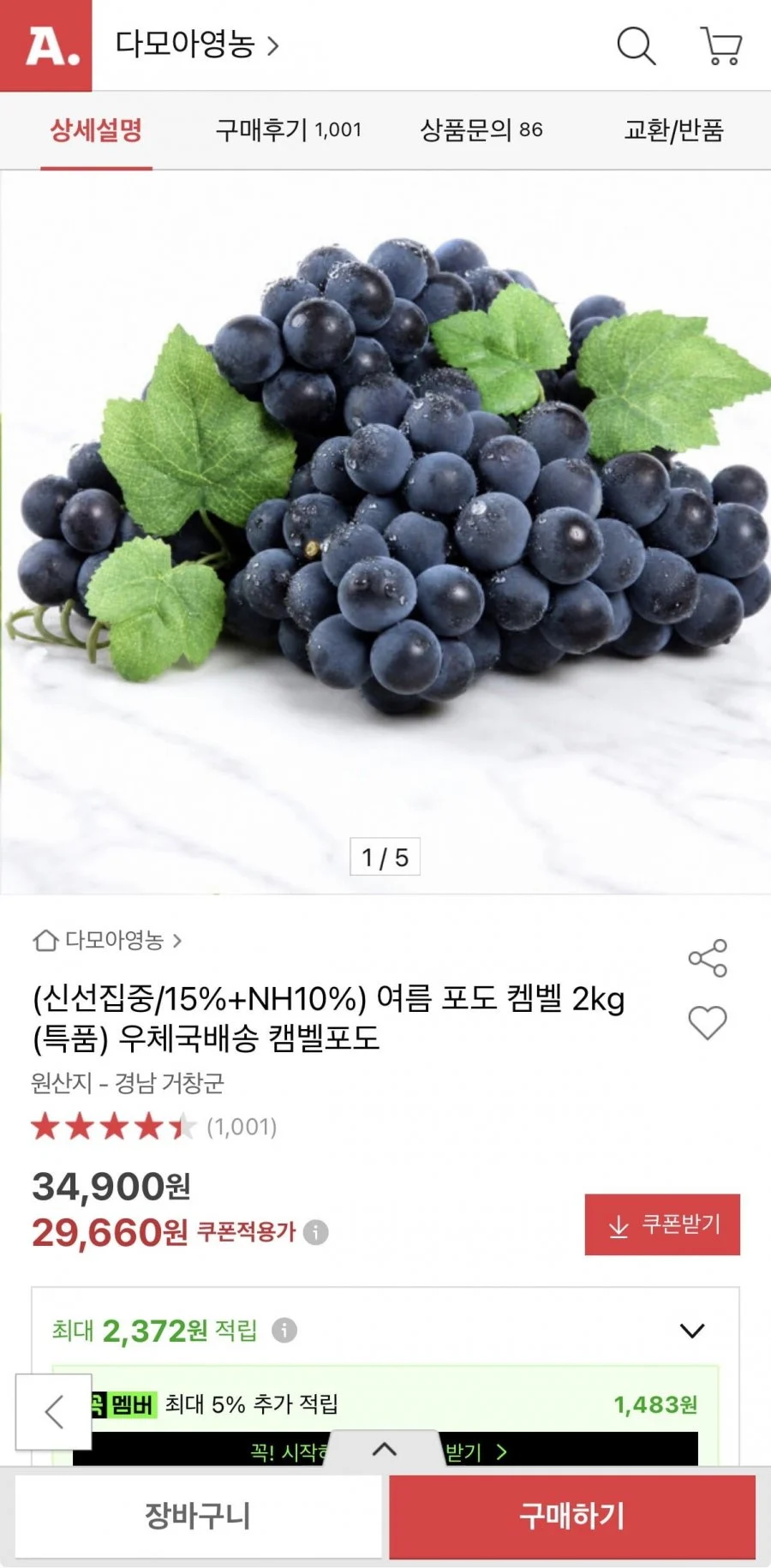 여름 포도 캠벨포도 2kg
