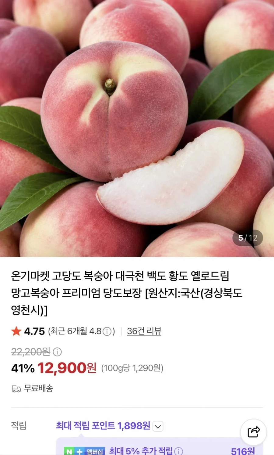 백도 딱딱이 중과 2kg 11과내외