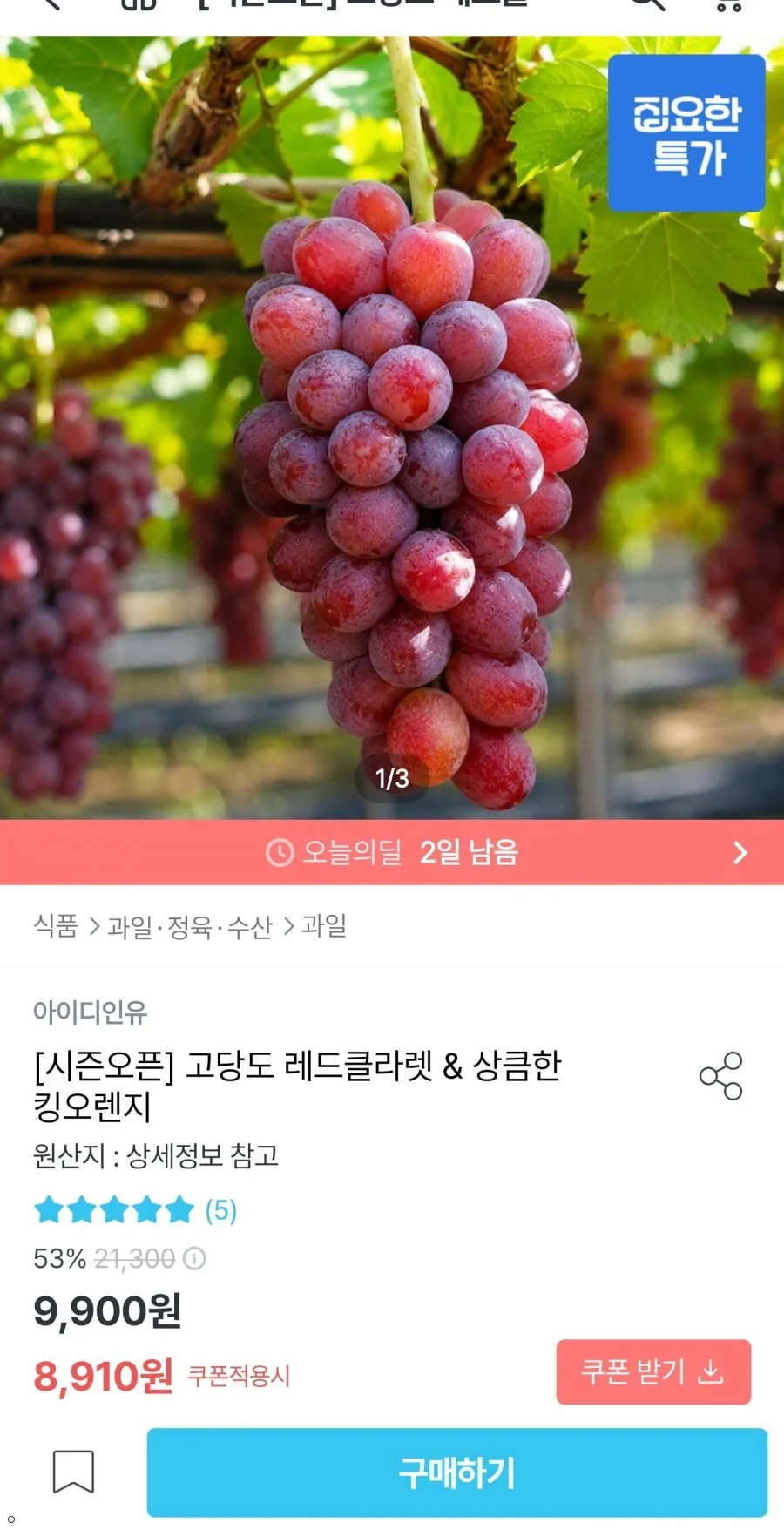 레드클라넷 500g 1송이