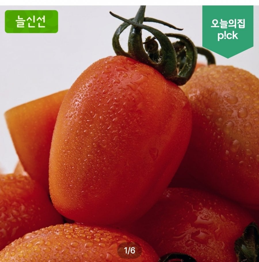 스테비아 토망고 500g x 4팩