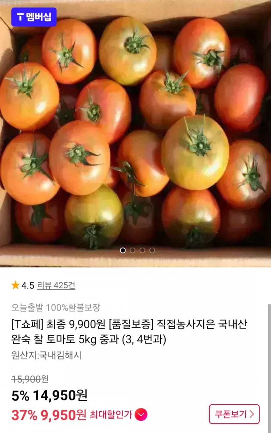 국내산 완숙 찰 토마토 5kg 중과(3,4번과)