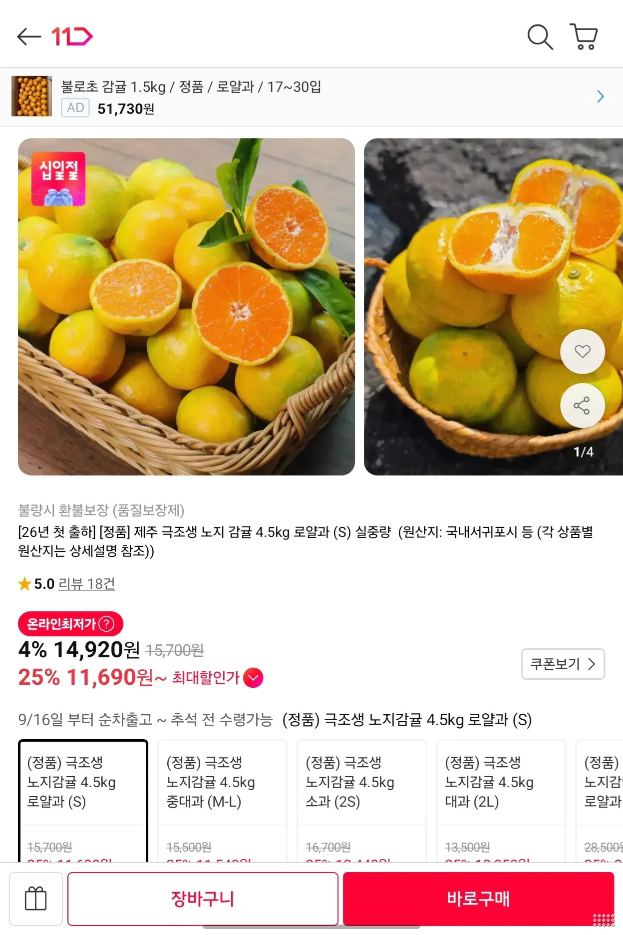 제주 극조생 노지감귤 4.5kg 로얄소과