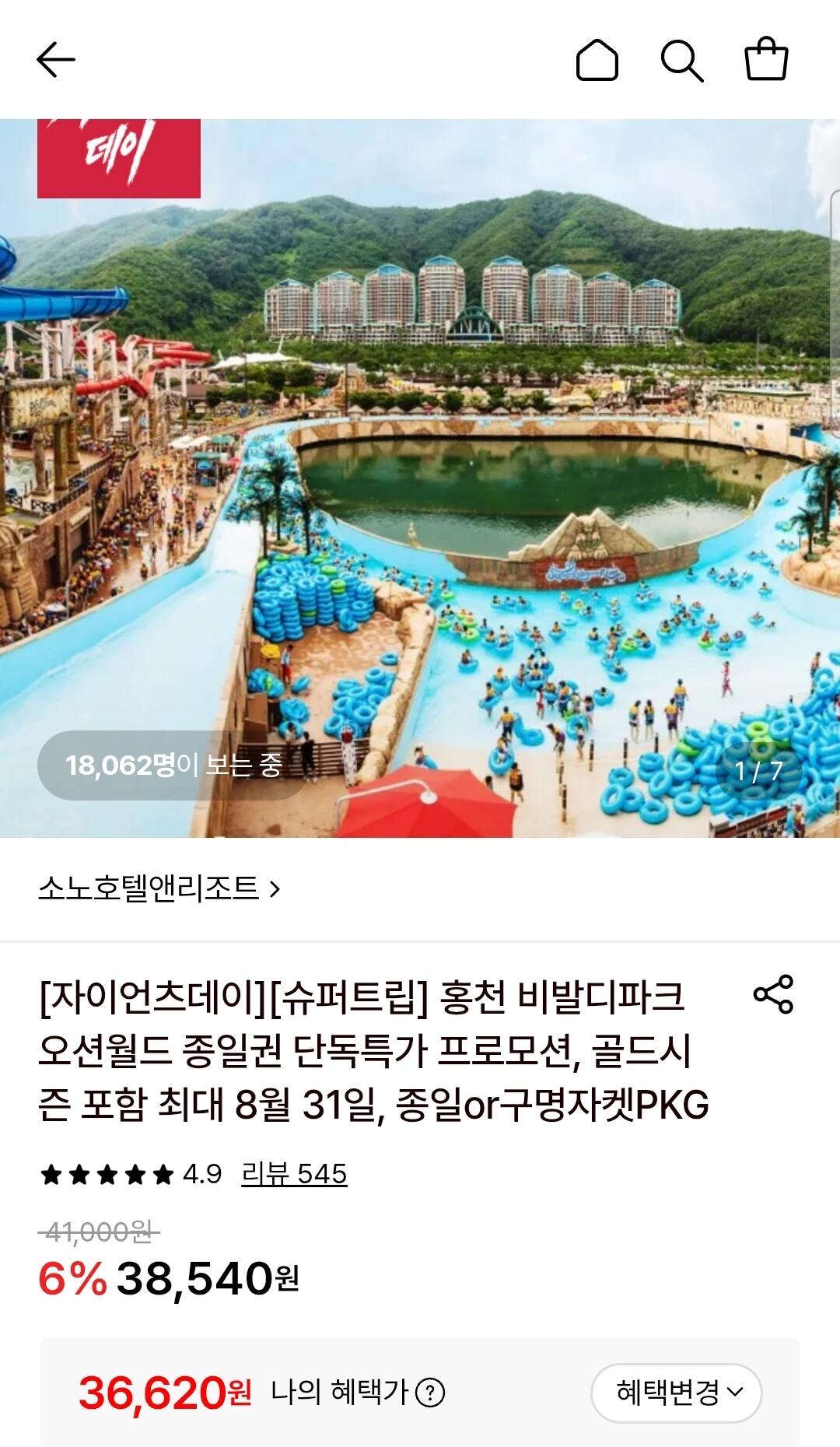 홍천 비발디파크 오션월드 종일권
