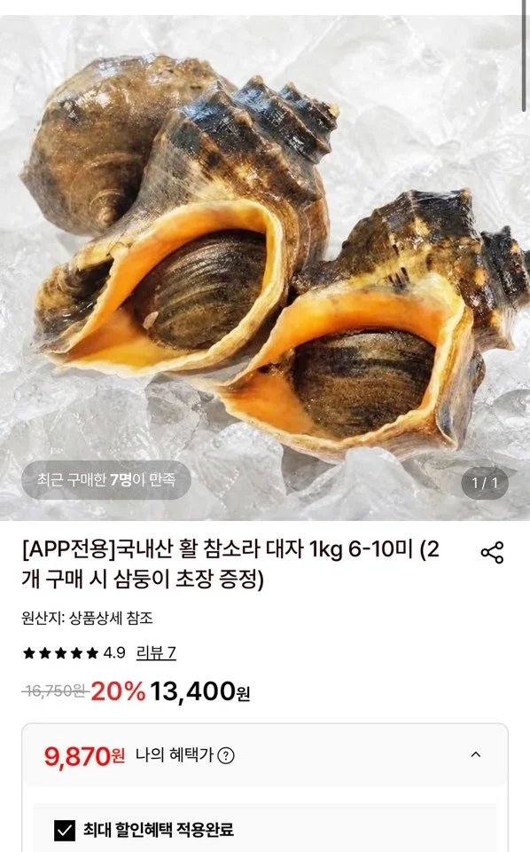 국내산 활 참소라 대자 1kg 6-10미 (2개 구매 시 삼둥이 초장 증정)